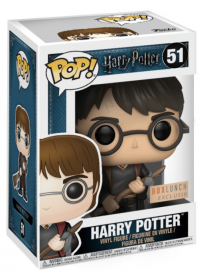 Harry Potter with Firebolt