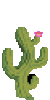 Cactolyte