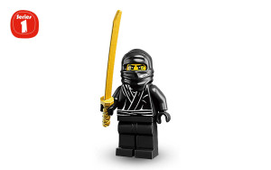 Ninja