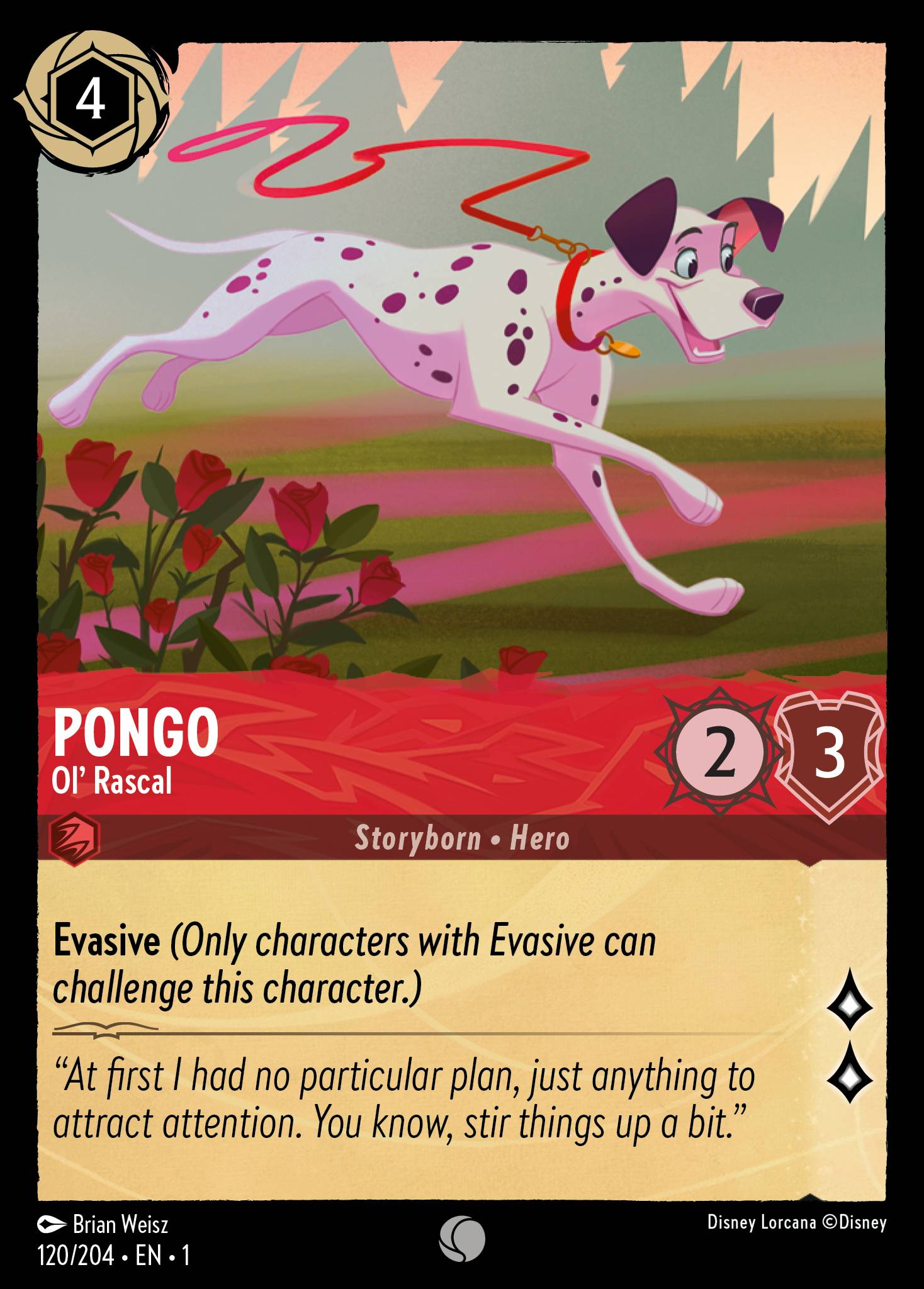 Pongo