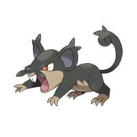 Alolan Rattata