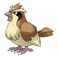 Pidgey