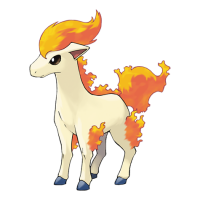 Ponyta