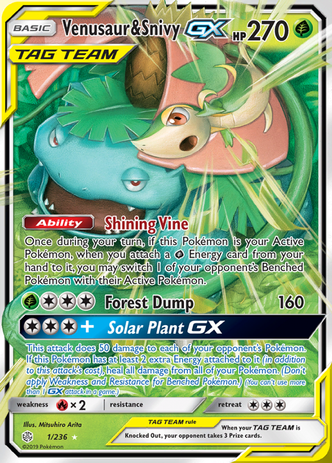 Venusaur & Snivy GX