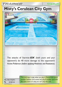 Misty's Cerulean City Gym