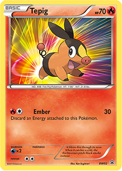 Tepig