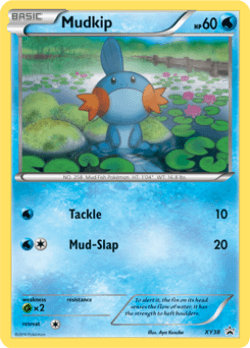 Mudkip