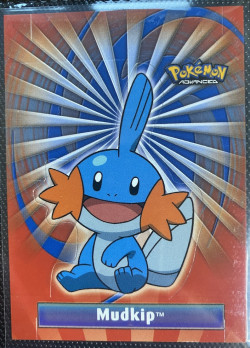 Mudkip