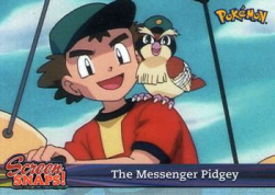 The Messenger Pidgey