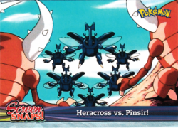Heracross vs. Pinsir!