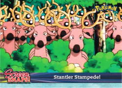 Stantler Stampede!