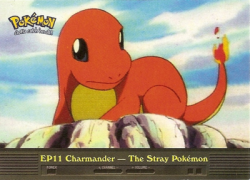 EP11 Charmander - The Stray Pokemon