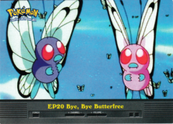 EP20 Bye, Bye Butterfree
