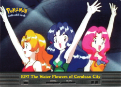 EP7 The Water Flowers of Cerulean City