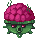 Minehead Boss: Raspberryhead
