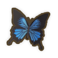 Ulysses Butterfly