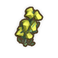Yellow Wattle Flower