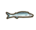 Barracuda