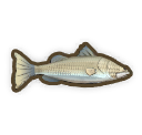 Barramundi