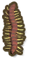 Centipede