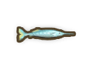 Garfish