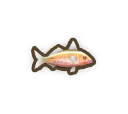 Козела риба