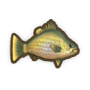 Golden Perch