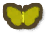 Grass Yellow Butterfly