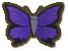 Purple Azure Butterfly