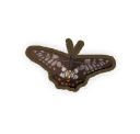 Swallow-tail Butterfly