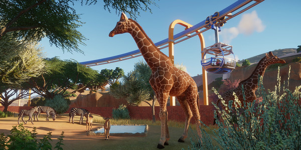 Best Laptops for Planet Zoo