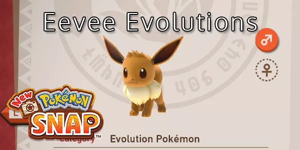 New Pokemon Snap - Where To Find All Eevee Evolutions