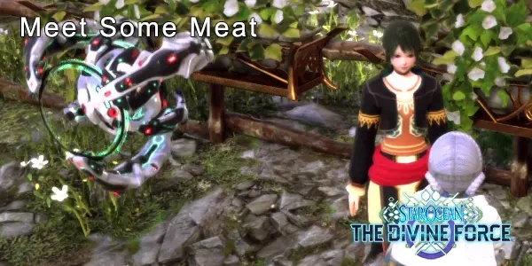 Meet Some Meat - Star Ocean: The Divine Force Sidequest