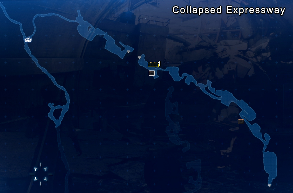 Collapsed Expressway