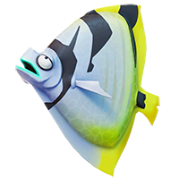 Black Striped Shield Fish