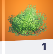 Bush