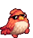 Cool Bird