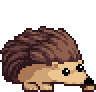 Hedgehog