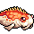 Koi