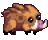 Wild Boar