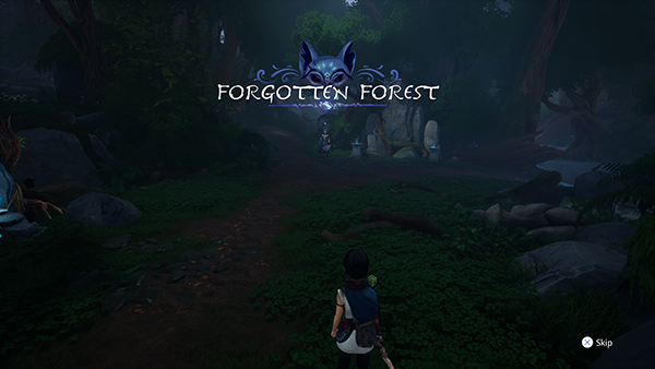 Forgotten Forest