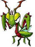 Blood Mantis