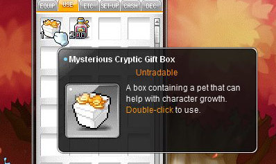 Mysterious Cryptic Gift Box