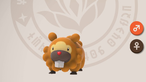 Bidoof