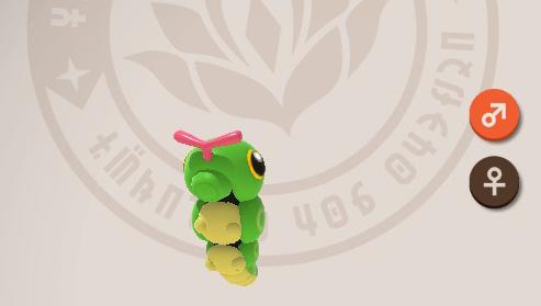 Caterpie