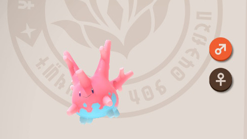 Corsola