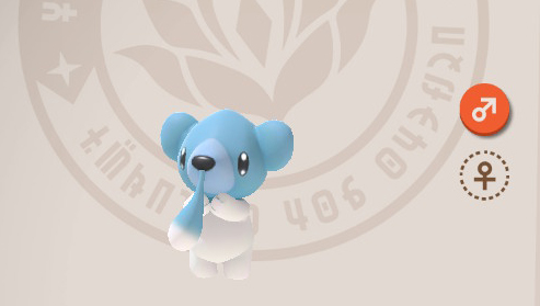 Cubchoo