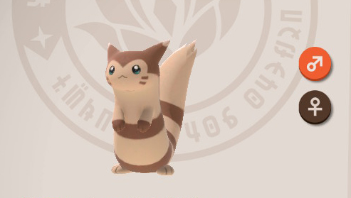 Furret