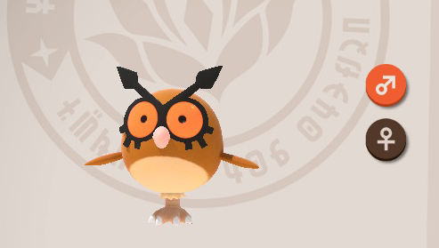 Hoothoot