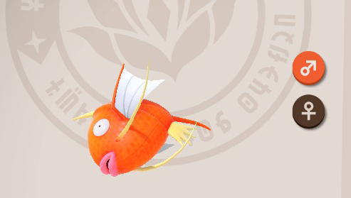 Magikarp